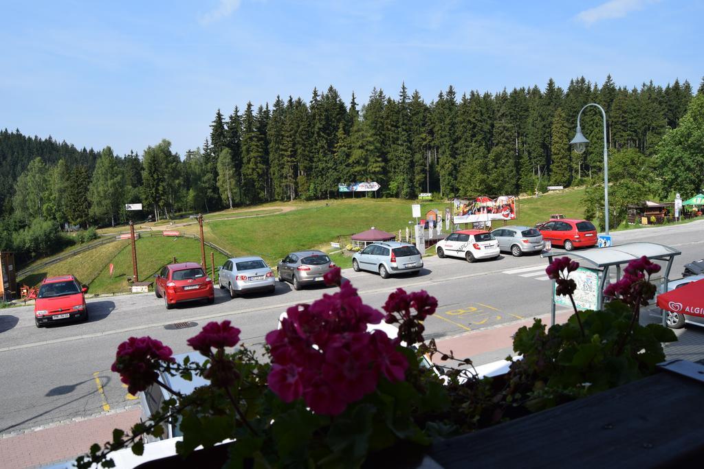 Verde Rosa Harrachov Rom bilde