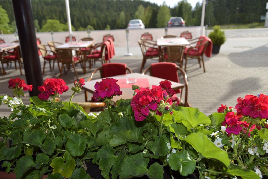 Verde Rosa Harrachov Eksteriør bilde